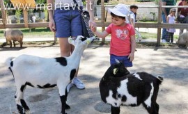 Zoo di Napoli